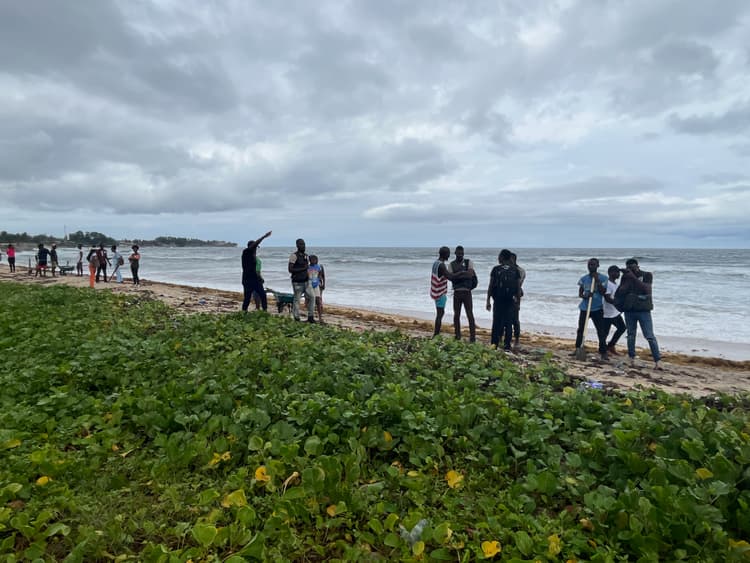 <p>Community reforestation and mapping on the coast of Monrovia&nbsp;</p>