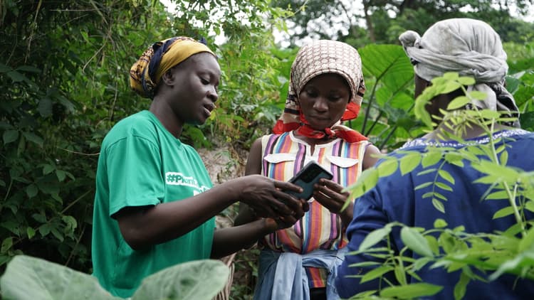 <p>YouthBridge Foundation training community members to measure tree growth with a cell phone</p>