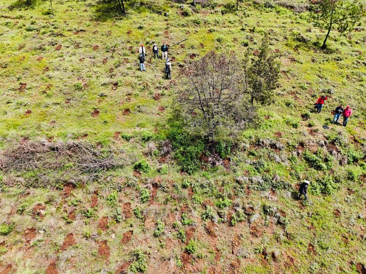 <p>Reforestation data collection in the ejido</p>
