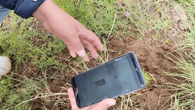 <p>Collecting geo-reference tree growth data in the ejido</p>