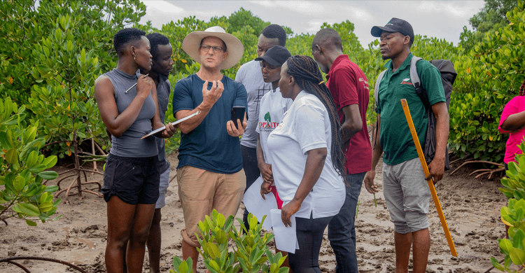 <p>Field mapping in the Mombasa mangroves</p>